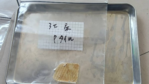 アスベスト調査