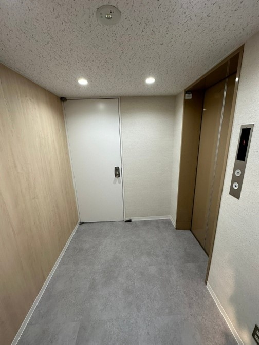 天井リニューアル